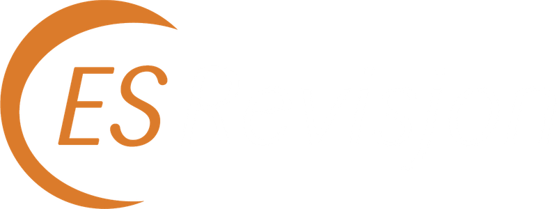ES Revisjon